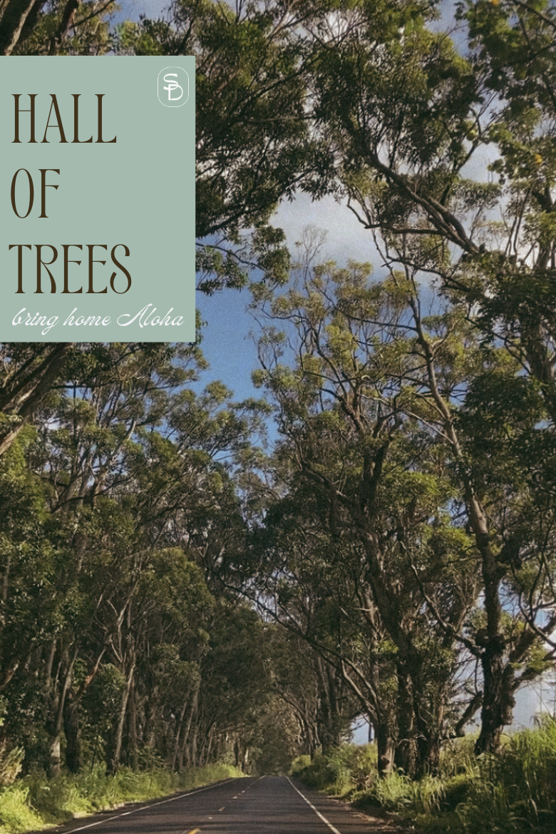 HALL OF TREES